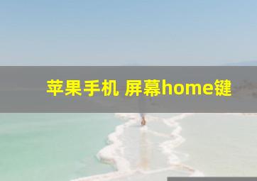 苹果手机 屏幕home键